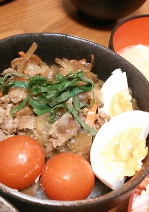 ピリ辛ゴーヤ豚丼-レシピのメイン写真