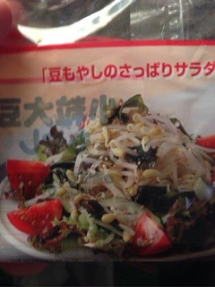 豆もやしのさっぱりサラダ-レシピのメイン写真
