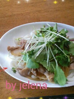 しょうが焼きサラダうどん-レシピのメイン写真