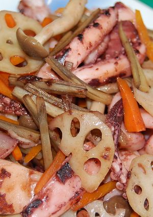 一夜干しイカと根菜のきんぴら-レシピのメイン写真