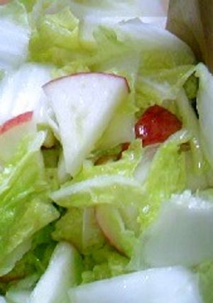 大人気♪リンゴと白菜のマリネサラダ-レシピのメイン写真
