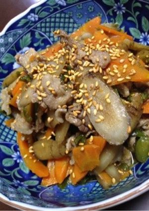 牛蒡と豚肉の煮物-レシピのメイン写真