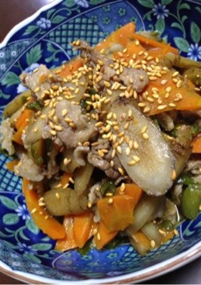 牛蒡と豚肉の煮物-レシピのメイン写真