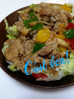 醤油麹で簡単生姜焼き-レシピのメイン写真