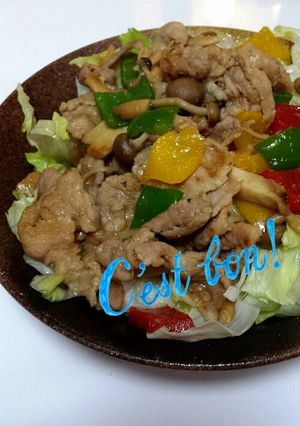 醤油麹で簡単生姜焼き-レシピのメイン写真