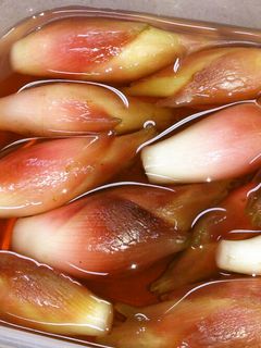 みょうがの甘酢漬け-レシピのメイン写真