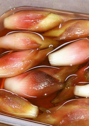 みょうがの甘酢漬け-レシピのメイン写真