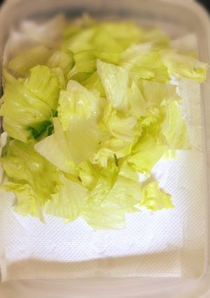 働くママ応援レシピ⁈レタスの保存方法-レシピのメイン写真