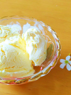 簡単!バニラアイスʕ*•ﻌ•ʔฅ-レシピのメイン写真