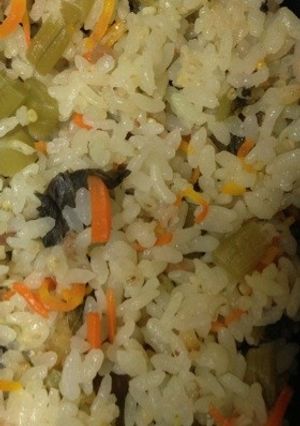 梅と野沢菜としらすのご飯-レシピのメイン写真
