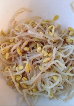 豆もやしナムル-レシピのメイン写真
