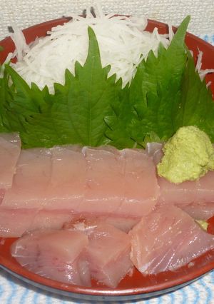 パパのとんぼマグロの刺身-レシピのメイン写真