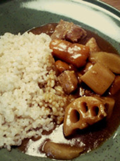 豚バラと根菜の塩麹カレー-レシピのメイン写真