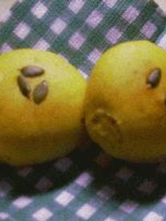 かぼちゃパン-レシピのメイン写真