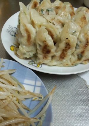 浜松餃子でスタミナ補給-レシピのメイン写真