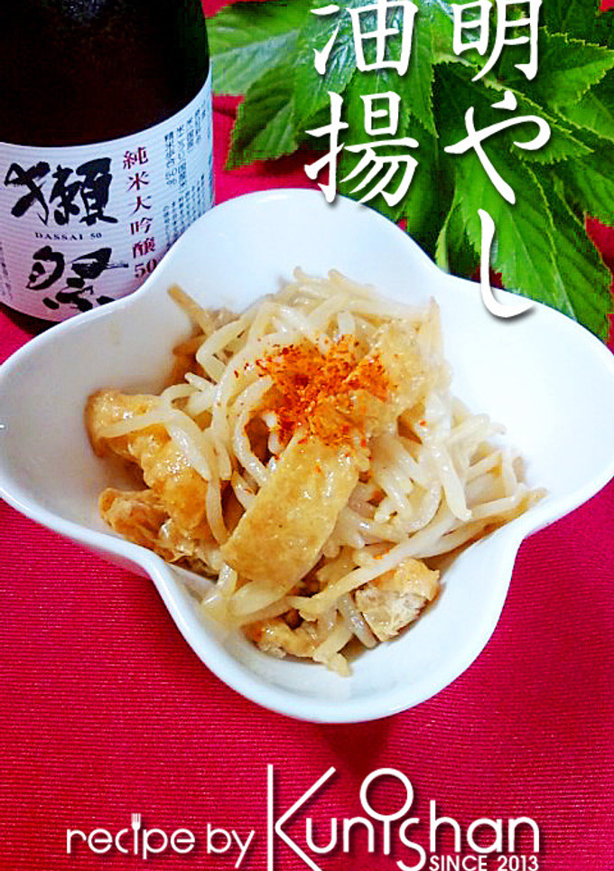 もやしと油揚げの辛子炒め♪-レシピのメイン写真