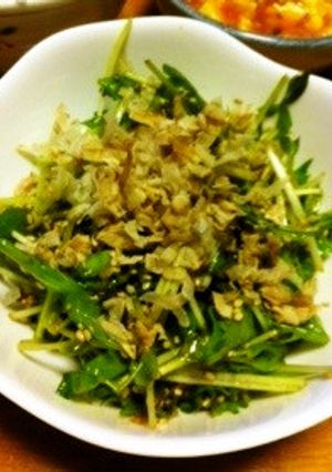 安いサラダ！（水菜と豆苗のサラダ）-レシピのメイン写真