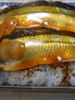 さんまの煮付け丼-レシピのメイン写真