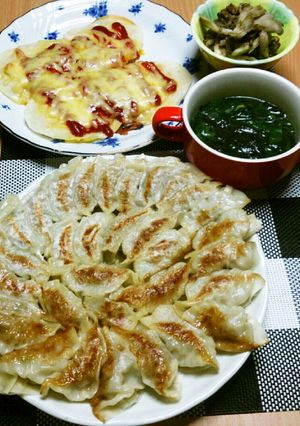 野菜たっぷり✩春雨入り餃子！-レシピのメイン写真