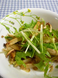 すだち香る♪ごぼうと焼エリンギの秋サラダ-レシピのメイン写真