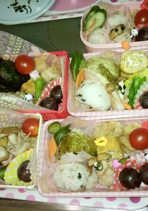 山登りのお弁当-レシピのメイン写真