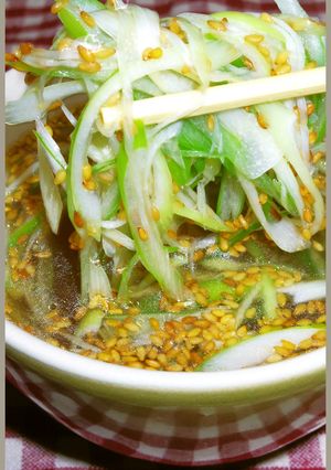 男のがっつりにんにくスープ！ねぎ大量だよ-レシピのメイン写真