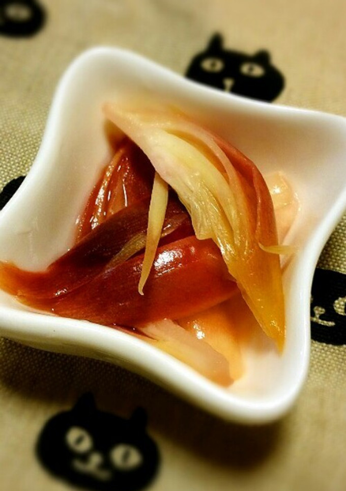 みょうがの酢漬け-レシピのメイン写真
