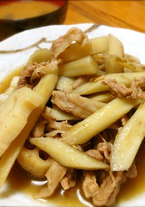 根菜と豚バラの煮物-レシピのメイン写真