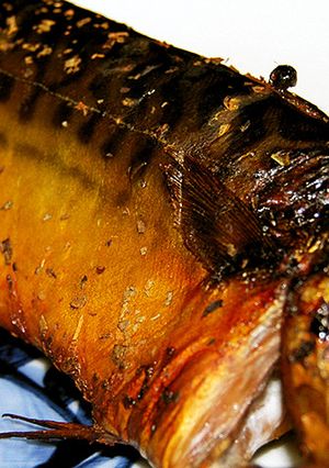 黄金に輝く鯖の燻製をキッチンで簡単に！！-レシピのメイン写真