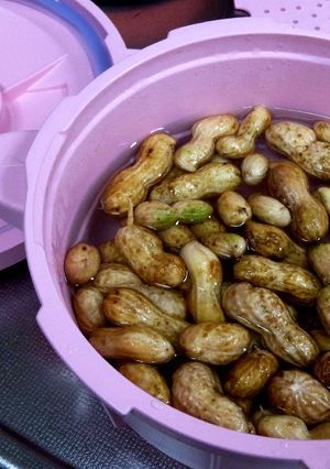 レンジ圧力鍋で茹で落花生（ラッカセイ）-レシピのメイン写真