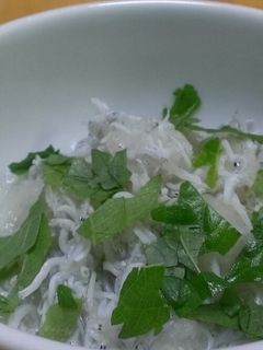 おろしとししゃもの大葉添え-レシピのメイン写真