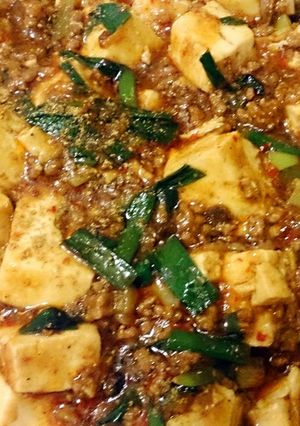 豆鼓の入った麻婆豆腐-レシピのメイン写真