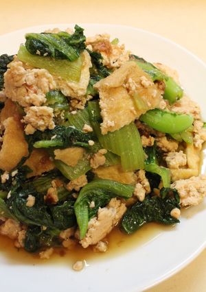 鶏ミンチ＋塩麹de高菜と油揚げの煮びたし-レシピのメイン写真