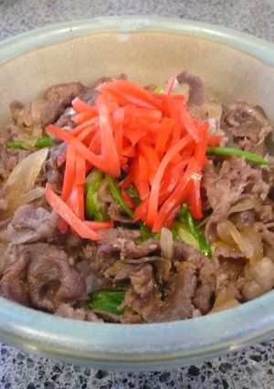 ★パーフェクト牛丼★-レシピのメイン写真