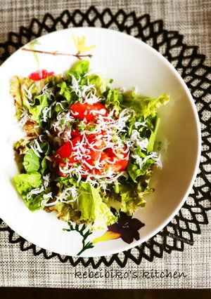 湘南流しらすとトマトのマリネサラダ-レシピのメイン写真