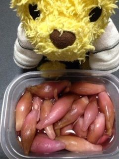 みょうがの甘酢漬け-レシピのメイン写真