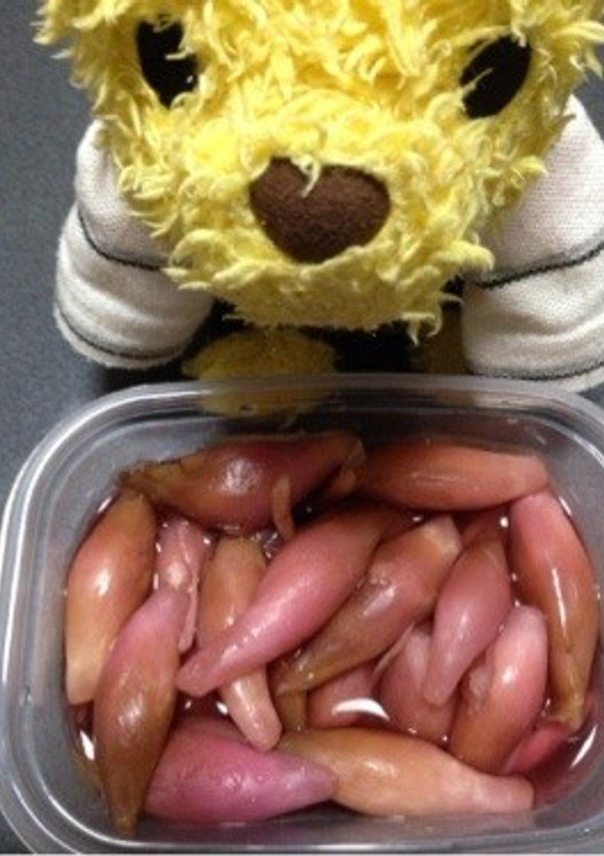 みょうがの甘酢漬け-レシピのメイン写真