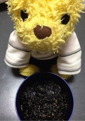ご飯に合うのりの佃煮-レシピのメイン写真