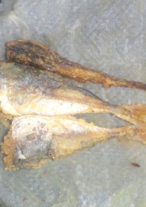 豆アジのから揚げ-レシピのメイン写真