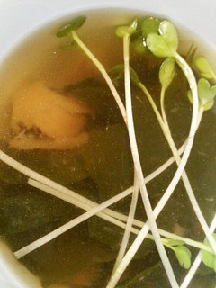 梅とワカメのおすまし-レシピのメイン写真
