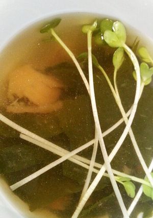 梅とワカメのおすまし-レシピのメイン写真