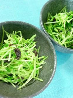 追加の1品☆豆苗の簡単ゆかりあえ-レシピのメイン写真