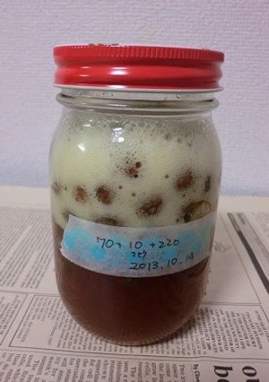 簡単レーズン酵母おこし-レシピのメイン写真