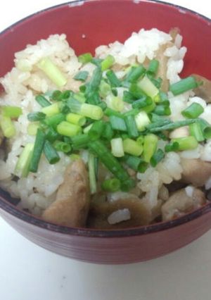 簡単　鶏ごぼうの炊き込みご飯-レシピのメイン写真