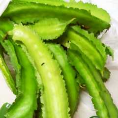 รูปของ 四角豆炒め