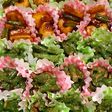 お弁当に冷凍自然解凍いんげん胡麻和え