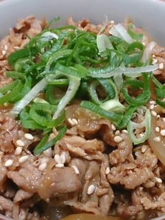 甘辛ダレが美味しい☆豚丼-レシピのメイン写真