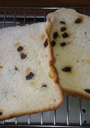 しっとり♪ご飯＆たっぷりのレーズンパン-レシピのメイン写真