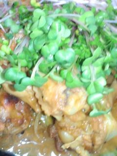 手羽先の味噌野菜炒め-レシピのメイン写真