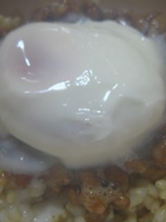 レンジで簡単♫♬温玉納豆丼-レシピのメイン写真